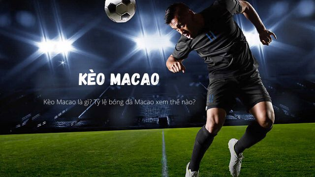 Giải mã sức hút Kèo macau - Bí ẩn từ sòng bài Châu Á - mivon Giải mã sức hút Kèo macau - Bí ẩn từ sòng bài Châu Á - mivon