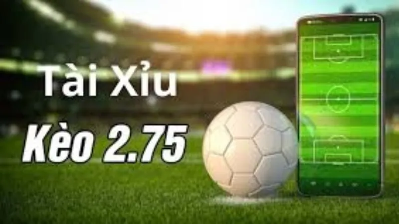 Kèo Chấp 2.75 - Giải Mã Bí Ẩn Tỷ Lệ Kèo Đầy Thách Thức - mivon Kèo Chấp 2.75 - Giải Mã Bí Ẩn Tỷ Lệ Kèo Đầy Thách Thức - mivon