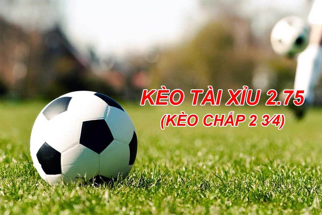 Kèo Chấp 2.75 - Giải Mã Bí Ẩn Tỷ Lệ Kèo Đầy Thách Thức - mivon Kèo Chấp 2.75 - Giải Mã Bí Ẩn Tỷ Lệ Kèo Đầy Thách Thức - mivon