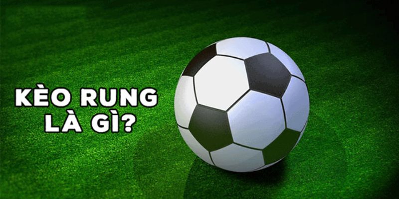Khám Phá Kèo Rung - Bí Kíp Cho Dân Cá Cược Bóng Đá - mivon Khám Phá Kèo Rung - Bí Kíp Cho Dân Cá Cược Bóng Đá - mivon