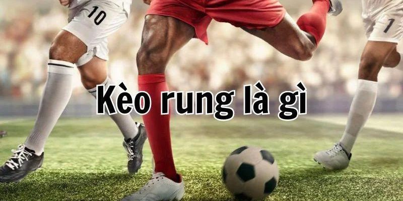 Khám Phá Kèo Rung - Bí Kíp Cho Dân Cá Cược Bóng Đá - mivon Khám Phá Kèo Rung - Bí Kíp Cho Dân Cá Cược Bóng Đá - mivon