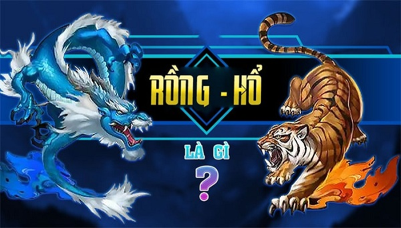 Rồng Hổ K8CC - Kinh Nghiệm Chinh Phục Đỉnh Cao - mivon Rồng Hổ K8CC - Kinh Nghiệm Chinh Phục Đỉnh Cao - mivon